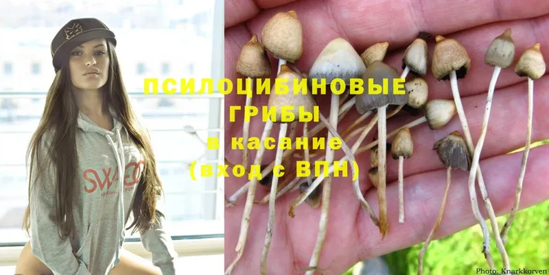 Псилоцибиновые грибы Magic Shrooms  Катав-Ивановск 